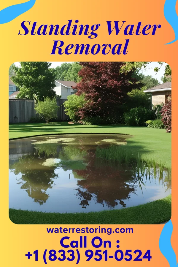 Standing Water Removal in Cowgill, MO